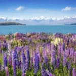 Aoraki Mount Cook National Park