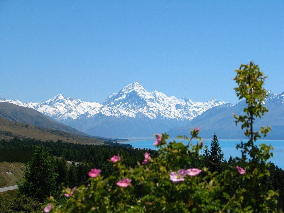 Nature New Zealand