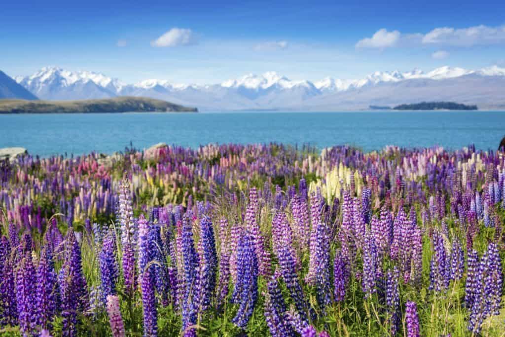 Aoraki Mount Cook National Park