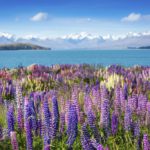 Rakiura National Park