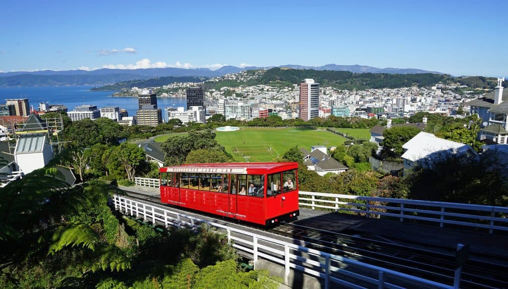 University New Zealand